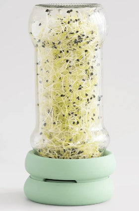 Sprout Huggers Silikon-Deckel zum Sprossen ziehen - 0