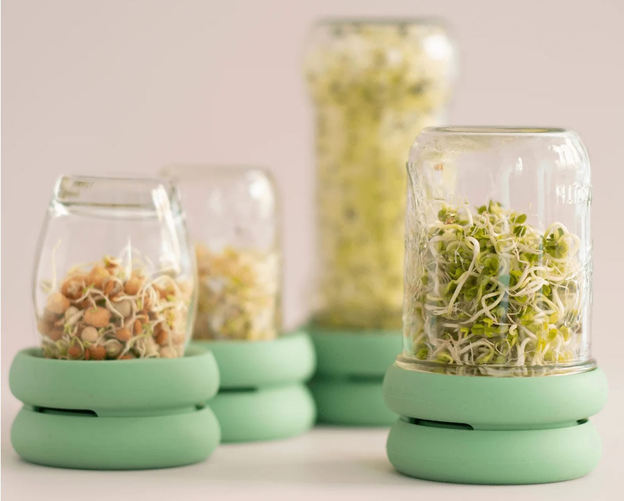 Sprout Huggers Silikon-Deckel zum Sprossen ziehen