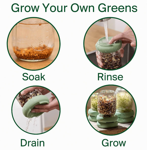 Sprout Huggers Silikon-Deckel zum Sprossen ziehen