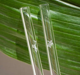 Trinkhalm aus Glas 6er-Set Earth Day Edition - 0