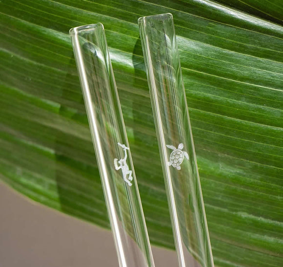 Trinkhalm aus Glas 6er-Set Earth Day Edition