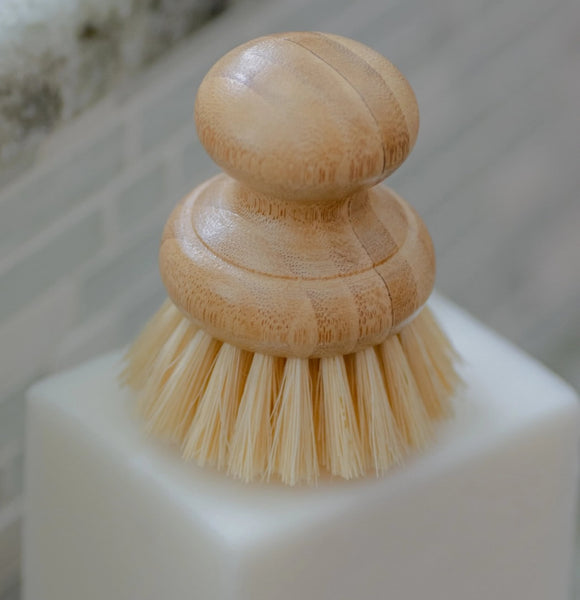 Casa Agave Spülbürste von No Tox Life