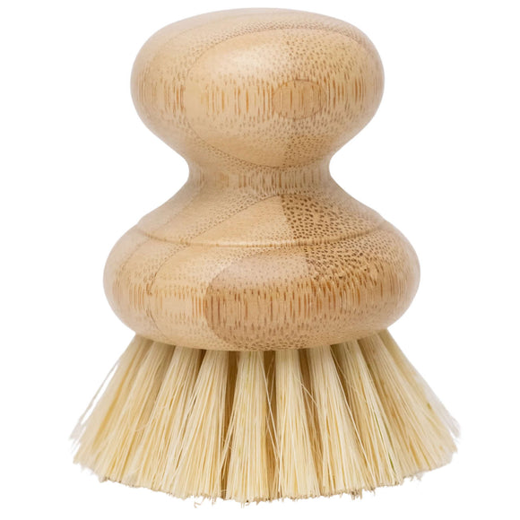 Casa Agave Spülbürste von No Tox Life