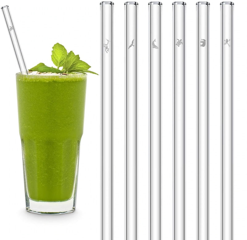 Trinkhalm aus Glas 6er-Set Earth Day Edition