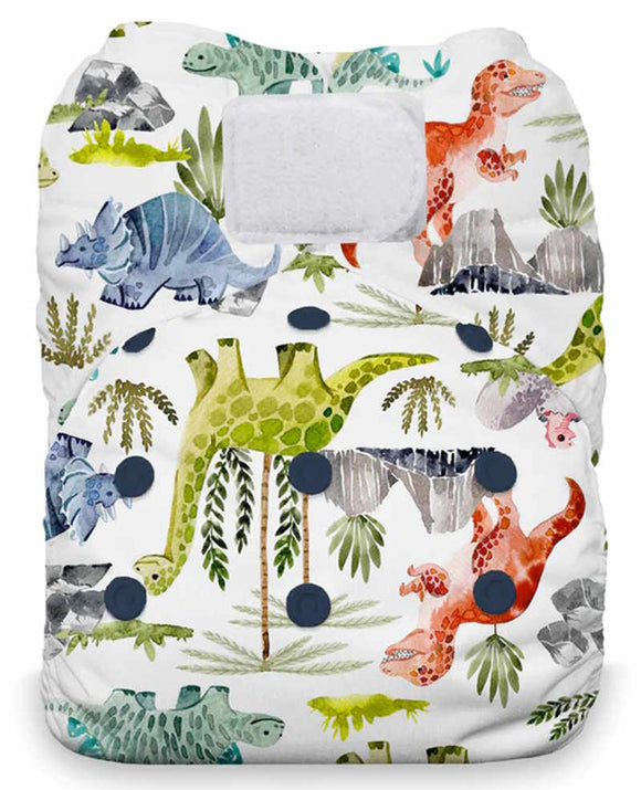 Thirsties Natural All-in-One-Windel KLETT