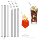 Trinkhalm aus Glas 6er-Set Gerade & Gebogen 20 + 23 cm